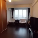 Apartament 2 camere Bucurestii Noi Damaroaia